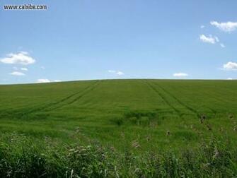Nature The Sound Of Music Meadow Picture Nr