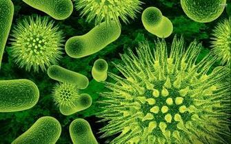 Germs Wallpaper Top Background