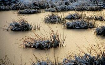 Scotland Christmas Wallpaper
