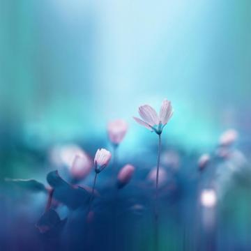 Everpix On Good Wallpaper Mood Take