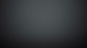 Grey Lion iPad Wallpaper HD Pictures