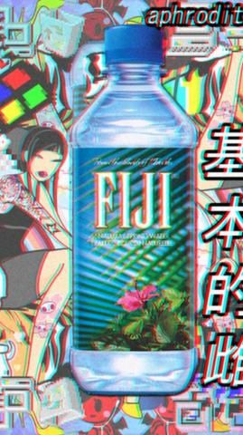 Kobe Phillips On Aesthetics Vaporwave Fiji Water Bottle