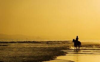Searching Different Thinking Wallpaper Ordered By Top Rated