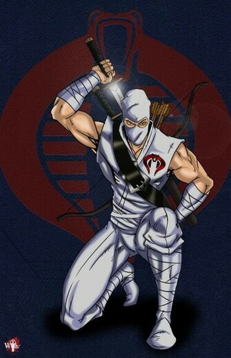 Storm Shadow Black Ninja