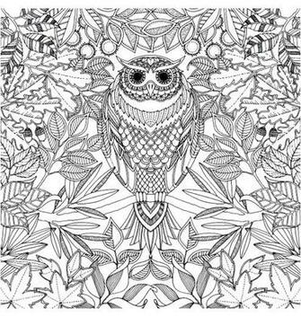 Coloring Adult Hibou Owl With Piercing Look To