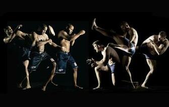 Mma Strikeforse Fighters Mixed Martial Arts Josh Barnett