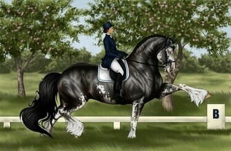 Draft Dressage By Apollo22