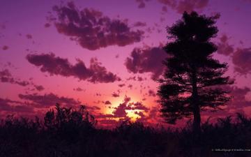 Purple Sunset Wallpaper Desktop Nature Pics