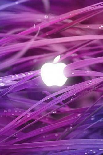 Favorite iPhone Gs Ipod Making Or Completely Screw It