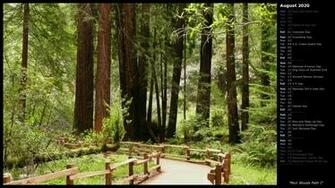 Mlewallpaper Muir Woods Path I Calendar