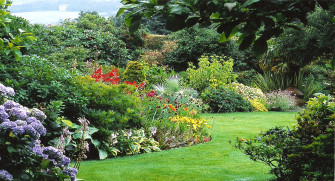 Garden Wallpaper HD