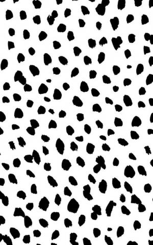 Black White Dalmatian Print Wallpaper Mural Murals