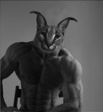 Caracal Gigachad Know Your Meme