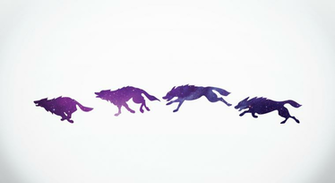 The Gallery For Pack Of Wolves Drawings Running