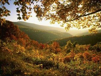 Shenandoah National Park Background Travelling Gallery
