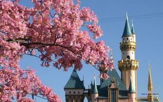 Disney Desktops Allears Net