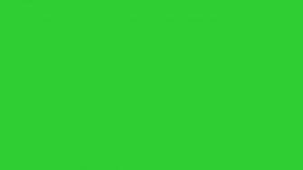 Solid Lime Green Wallpaper