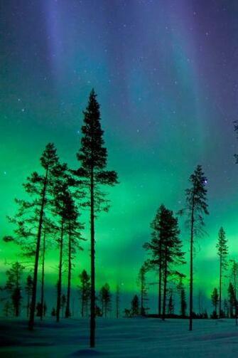 Aurora Borealis iPhone Wallpaper