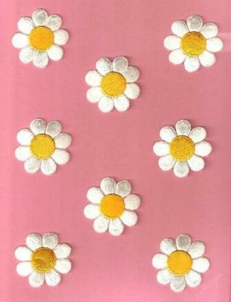 Daisy Wallpaper For Computer