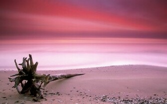 Beach Desktop Background And Wallpaper Chesapeake Bay Maryland