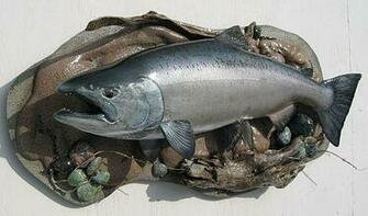 Sockeye Salmon Steelhead Links Site Map King Fish Mount