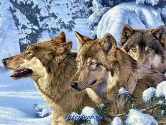 Name Wolf Jpgs 15909size Kb