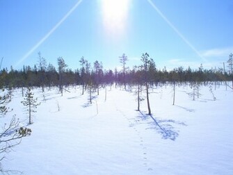Winter Scene Wallpaper Image And Nature