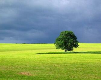 Landscape Tree Desktop Pc And Mac Wallpaper