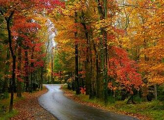 Marylee Pope Portfolio Fall In The Smoky Mountains