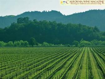 California Wine Magazine Wallpaper
