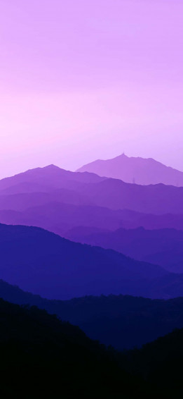 Take In The Beautiful Blue And Purple Hues Of A Stunning