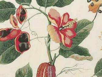 Printed Fabric Nakai Boussac Collection By Pierre Frey