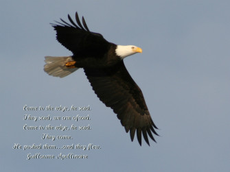 Come To The Edge Abc Of Success