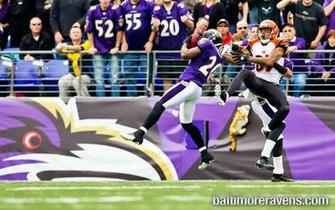 Ed Reed Wallpaper