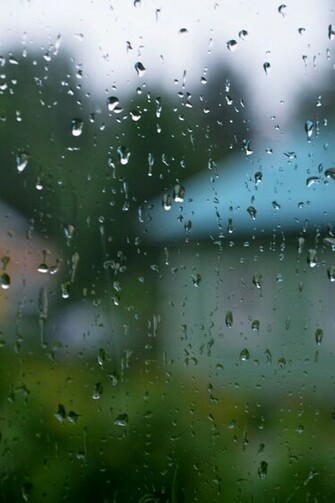 Rainy