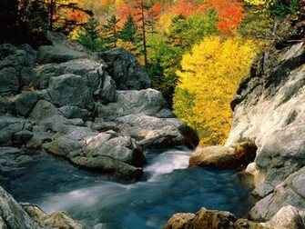 Autumn Scenes Wallpaper Which Is Under The