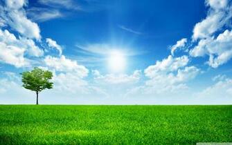 Green Nature 4k HD Desktop Wallpaper For Dual Monitor