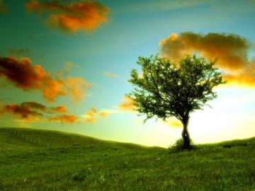 All Alone On A Summer S Day Wallpaper