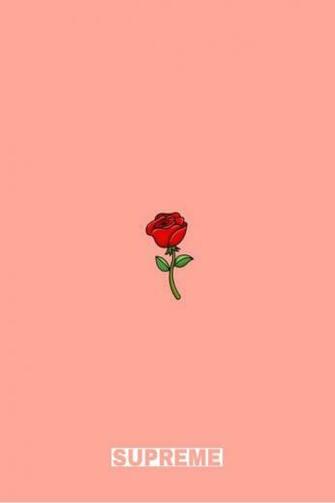 Supreme Supremewallpaper Rose Wallpaper Cartoon Plants And