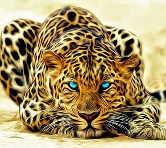 Most Beautiful Wallpaper Mobile Phone Shoutech