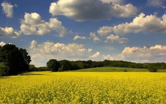 Summer Nature S Great Lscape Wallpaper HD