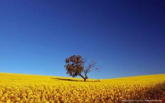 Widescreen Landscape Wallpaper X