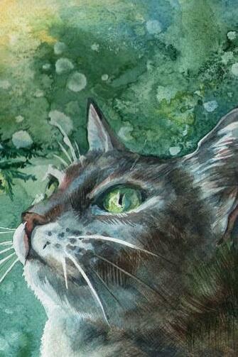 Wallpaper Cat Paint Painting Branch Snow