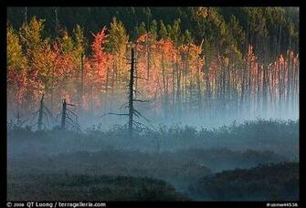Maine Fall Foliage Wallpaper Usa