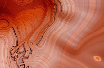 3d Wood Wallpaper