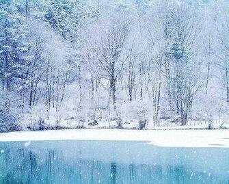 Winter Image Beautiful Wallpaper And Background Photos