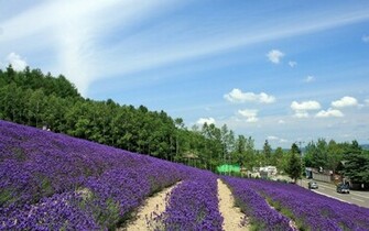 Okinawa Wallpaper Prints Posters Hokkaido Desktop