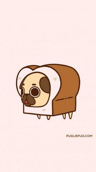 Pug Animals Art Baby Background Beautiful Beauty