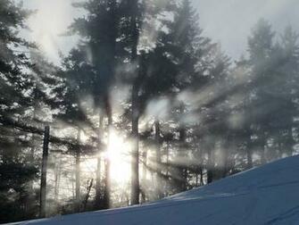 Christmas Apparition National Geographic Photo Contest