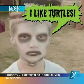 Ing Gallery For I Like Turtles